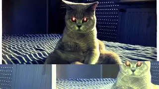 New hits 2014 music. It's a smash hit!