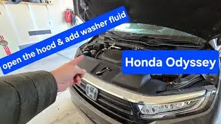 На Honda Odyssey открыть капот и долить жидкость для омывателя менее чем за 4 минуты. (2018&ndash;2025 ...