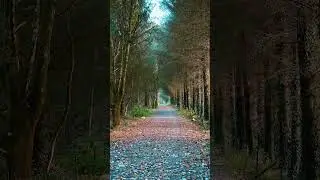 19 października 2025