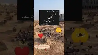 Allahquotes Mecca lables #musicgenre #musicstyle #uniquevoice islamicdaily#musicservices #musicscene
