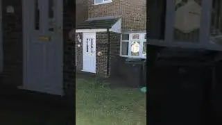 Ball in the Wheelie Bin Challenge