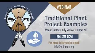 Traditional Plant Project Examples