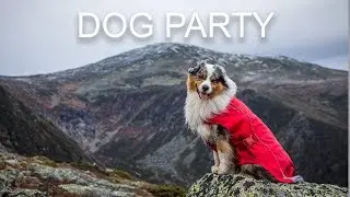 Hiking with Dogs, Mount Washington