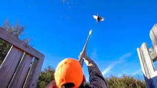 INSANE Nebraska Pheasant Hunting 2017