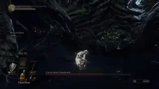 DARK SOULS 3 Curse-Rotted Greatwood invisible arm glitch