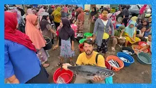 Um PARAÍSO SELVAGEM da Indonésia 🇮🇩  | Lombok Island