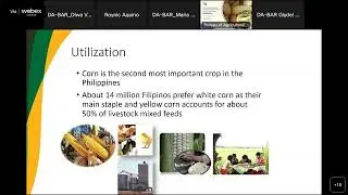 Corn Open Pollinated Varieties and the Women behind Caf&eacute; Bagga