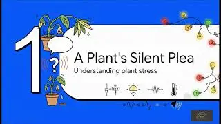Talking Plant Pot | Full Explanation