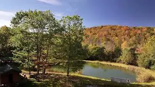 Ebb~n~Flow - Tranquility Trails Cabins Nature Eco-Retreat
