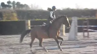 jumping lesson #1