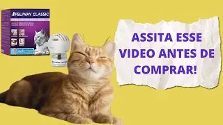 Feliway - O produto que promete trazer felicidade para os gatos, funciona mesmo?