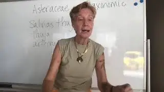 Herb Exploration: Flowering Plants of the Green Wisdom Garden Livestream