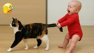 You Laugh You Lose 😁 The Best Funniest Cats and Dogs Moments Compilation 2026 🐶 Part 10