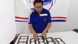empaquetaduras