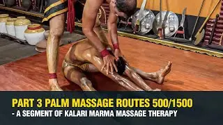 PART 3 Palm Massage Routes 500/1500 - A segment of Kalari Marma Massage Therapy