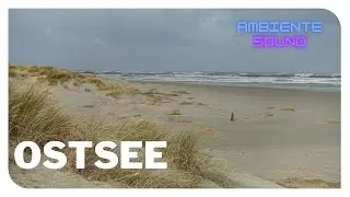 Ostsee | Meeresrauschen | Wellenrauschen | Urlaub