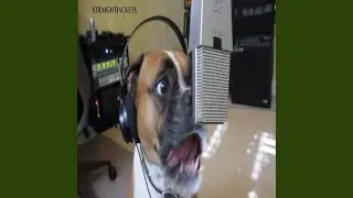When She Says Nothing