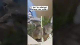 POV: Einmal nicht im B&uuml;ro | SDV STUDIOS