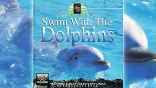 Swim With The Dolphins - Relaxing with Nature - Eric Bernard
