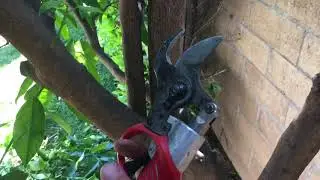 The best pruning tool you have never seen!