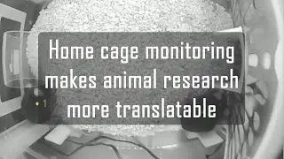 Home cage monitoring makes animal research more translatable