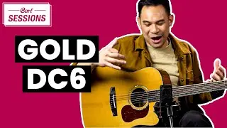 Акустическая гитара, которая всегда на высоте &mdash; Cort Gold-DC [The Sessions]