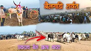 37th Vlog | गाडी सोडून एकटाच बैल आला धावत | बैलगाडी शर्यत 2022