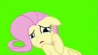 Fluttershy: 