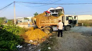 First Start New Project! Landfill Delete Flooded Garbage by Bulldozer Bushing Stone with 5Ton Trucks