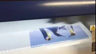 20180306 174943