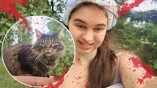Rushing to the Vet After This&hellip; (Cat Threw Up Blood)