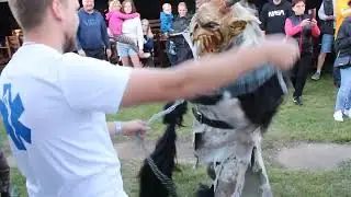 Krampus&aacute;ci Rohatce na narozeninov&eacute; oslavě