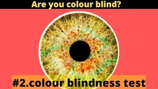 #2.colour blindness test.(क्या आपको भी ये नंबर नहीं दिखता)Optical illusions #amazingfacts