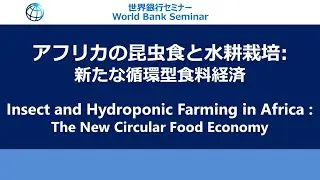 Insect and Hydroponic Farming in Africa