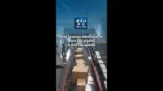 Xinhua News | China's express delivery sector posts fast growth in first two months