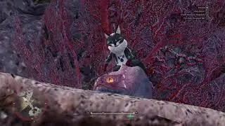 Monster Hunter World: [Taming the Wildlife] Lynian Researcher Request!