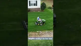 Neighbors First Lawn Striping #diylawn