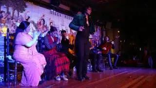 Jonatan Mir&oacute;. Tablao Flamenco Villa Rosa