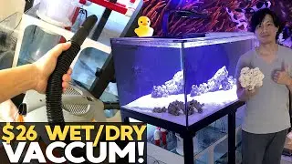 BEST $26 Spent! Adding Rock, Light, GHL Mini! (135g - 4/4/2020)