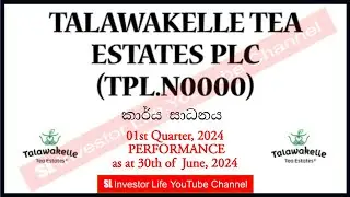 TALAWAKELLE TEA ESTATES PLC 1st QUARTER, 2024 Performance. Colombo Stock Exchange. TPL.N0000