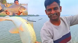 Daily Fishing Videos | Fr Fishing Videos New Fishing Techniques | Best fishing Techniques | Fortrout