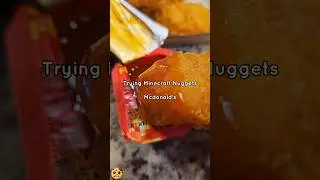 Trying Mcdonald's McNuggets w Nether Flame Sauce #foodreview #minecraft #cookiedo_daily