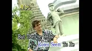 09 - Karaoke - Paper Roses (Star)