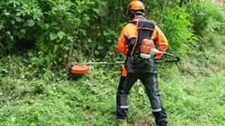 Testing Our New 52CC Petrol Backpack Brush Cutter on a Small Garden | CleanFix Services