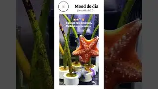 Eles fazendo as coisinhas deles.#01#pensando #divertido #animais #felizes