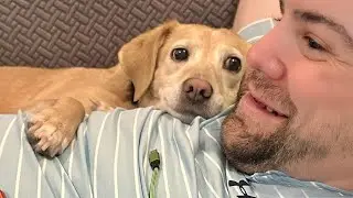 I Wanted a DOG, But God Gave Me a Comedian! 😂 Funniest Dog Videos!