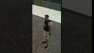 Bug Mesh Unity