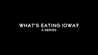 TRAILER: What's Eating Iowa: Episode 1 - Water