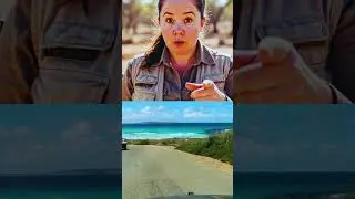 Aussie gold hunters | Gold Rush | Discovery |c #goldrush  #golddiscovery