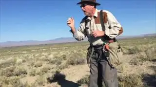 The Higgins Method